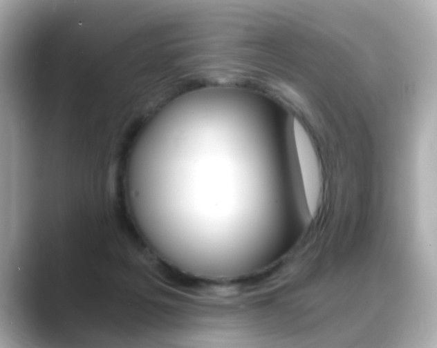 X0000089750217200706210930