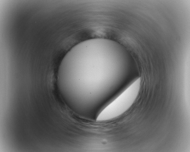 X0000089750223200706210930