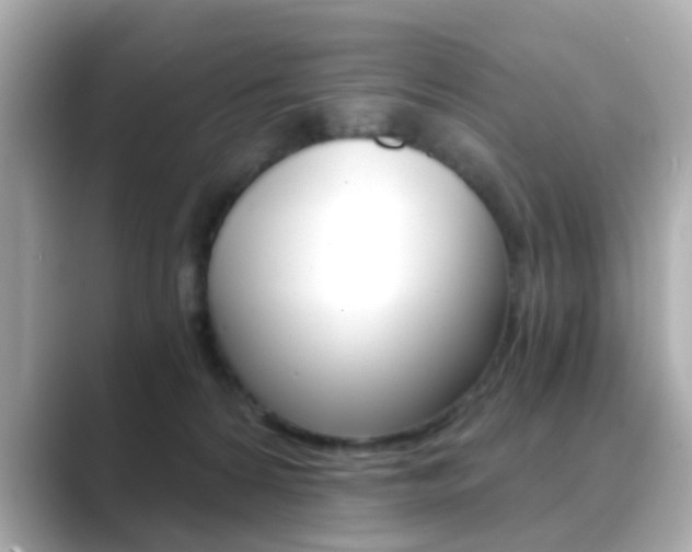 X0000089750224200706210930