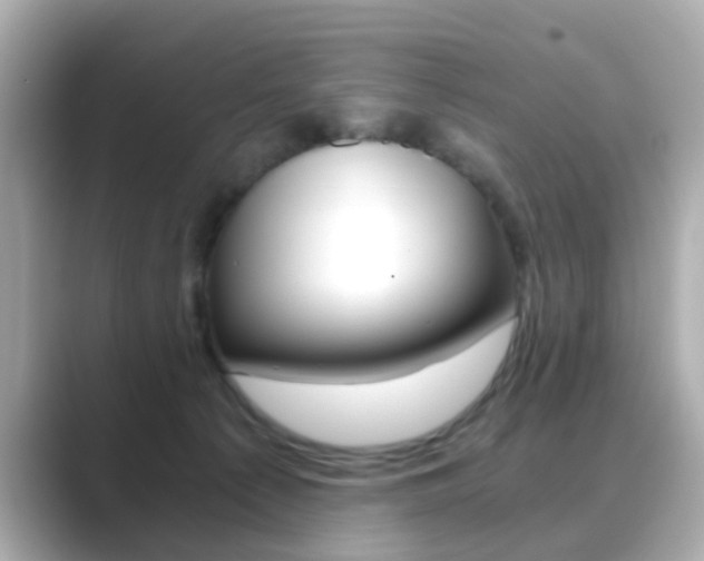 X0000089750225200706210930