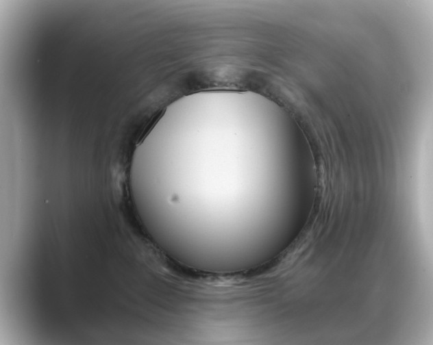 X0000089750235200706210930