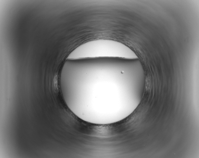 X0000089750238200706210930