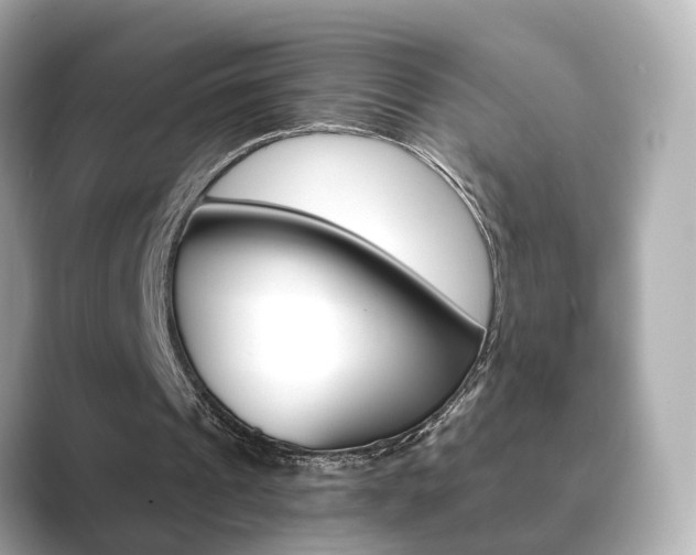 X0000089750241200706210929