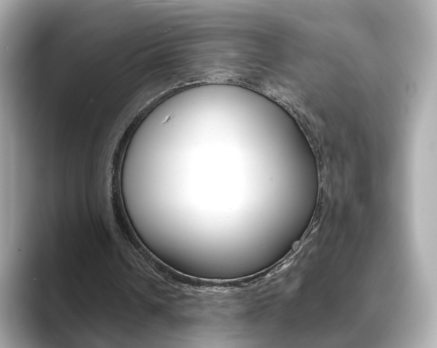 X0000089750242200706210929