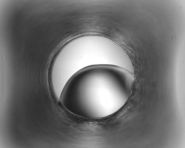 X0000089750244200706210929
