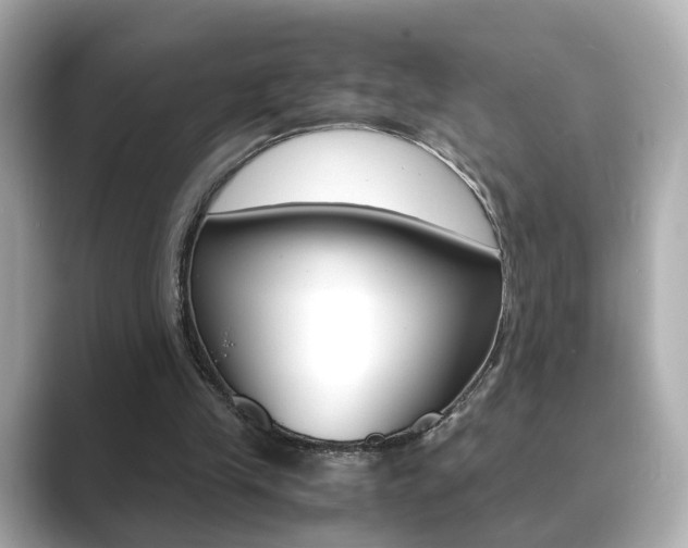 X0000089750245200706210929