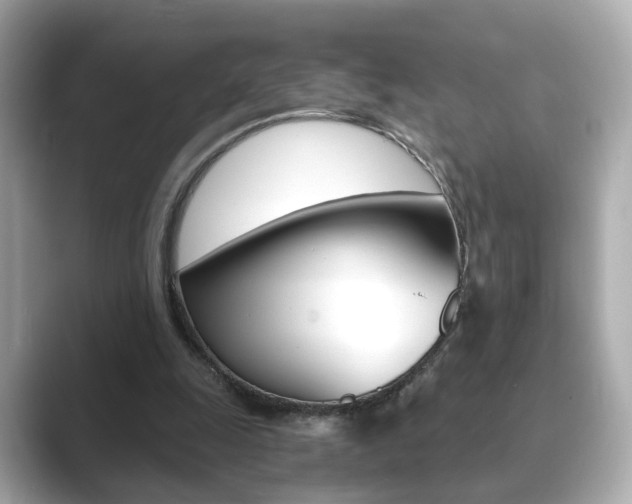 X0000089750247200706210929