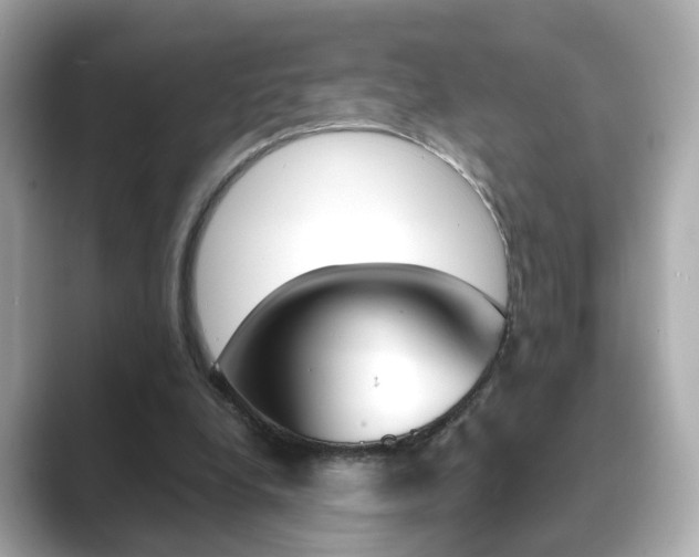 X0000089750248200706210929