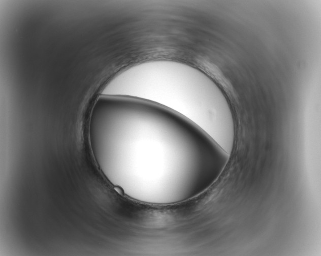 X0000089750250200706210929