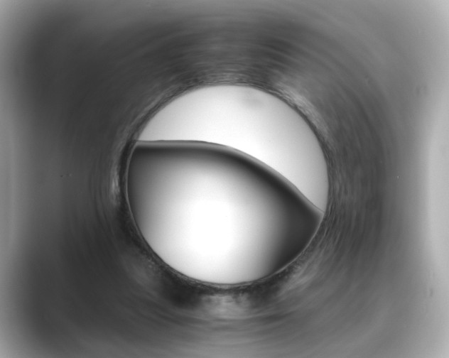 X0000089750251200706210929