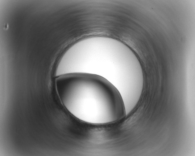 X0000089750252200706210929