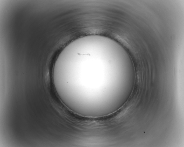 X0000089750254200706210930