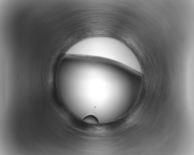 X0000089750260200706210930