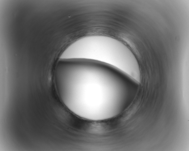 X0000089750261200706210930