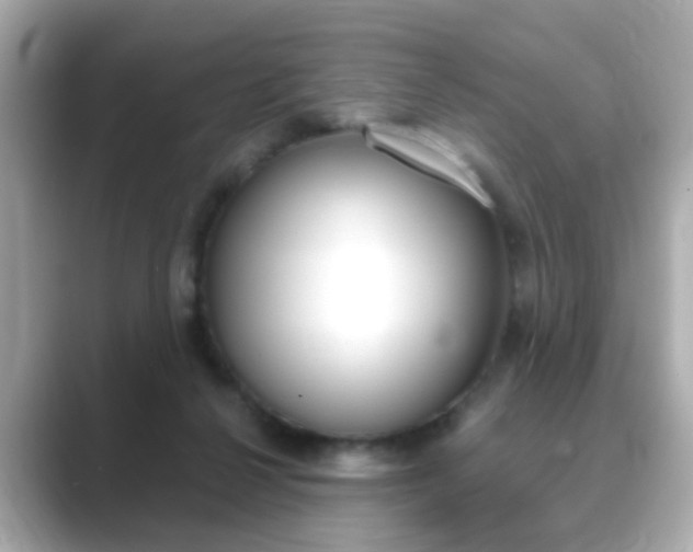 X0000089750264200706210930