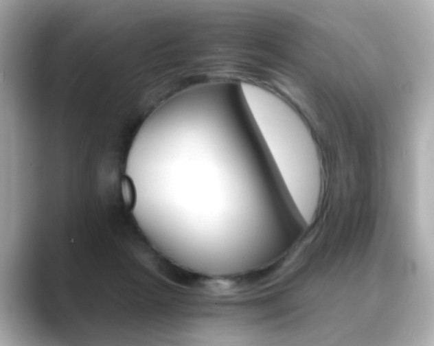 X0000089750265200706210930