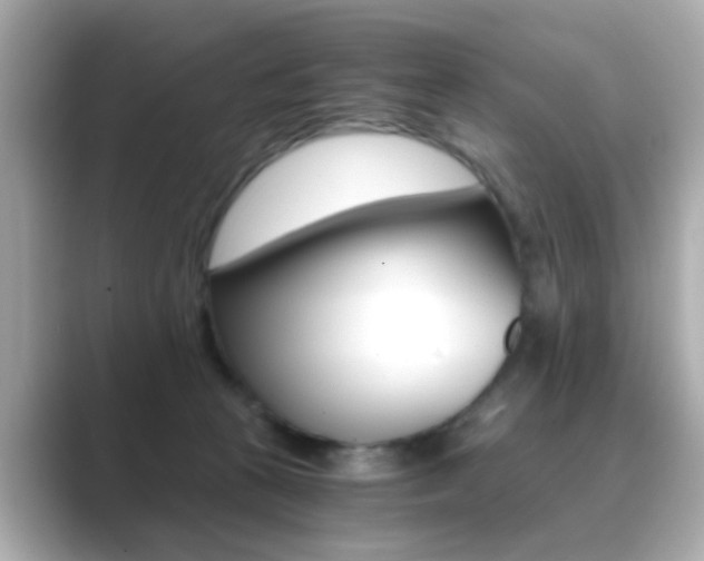 X0000089750273200706210930