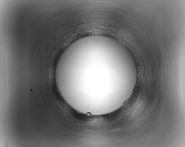X0000089750274200706210930