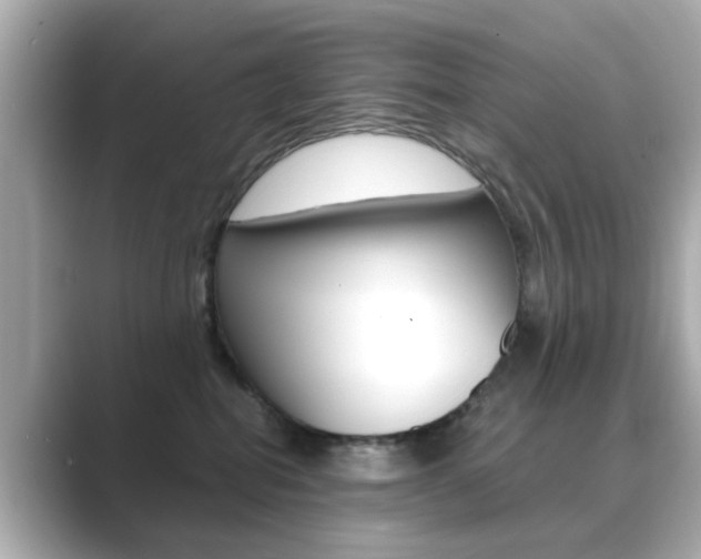 X0000089750282200706210930