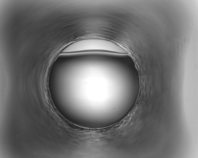 X0000089750289200706210929