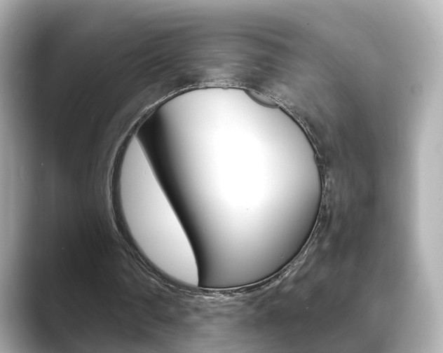 X0000089750290200706210929