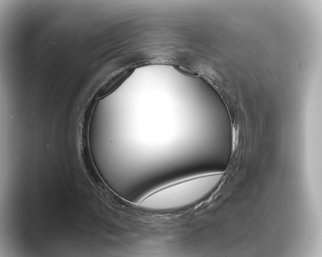 X0000089750291200706210929