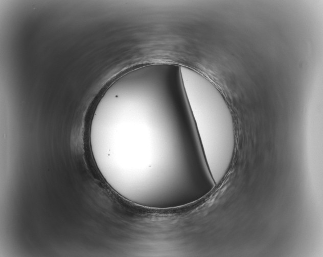 X0000089750292200706210929