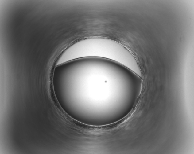 X0000089750293200706210929