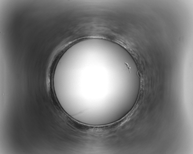 X0000089750294200706210929
