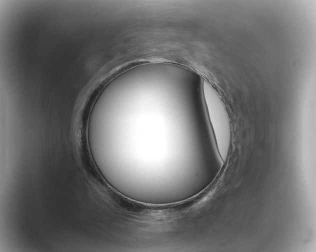 X0000089750295200706210929