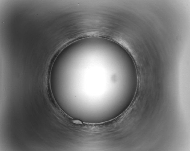 X0000089750297200706210929