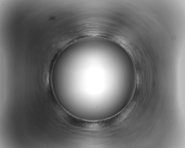 X0000089750301200706210929