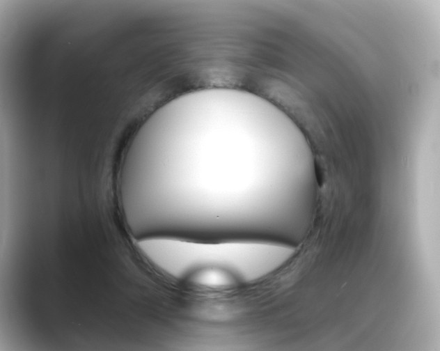 X0000089750306200706210929