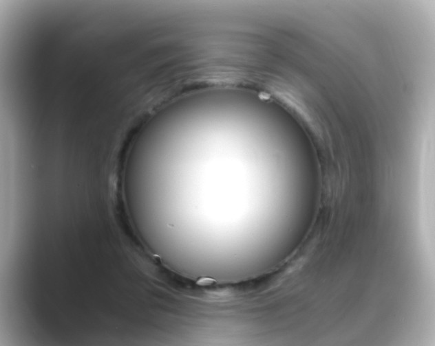 X0000089750309200706210929