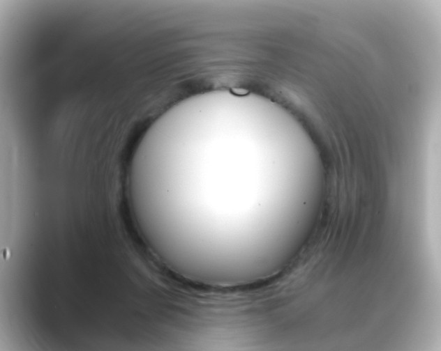 X0000089750311200706210929