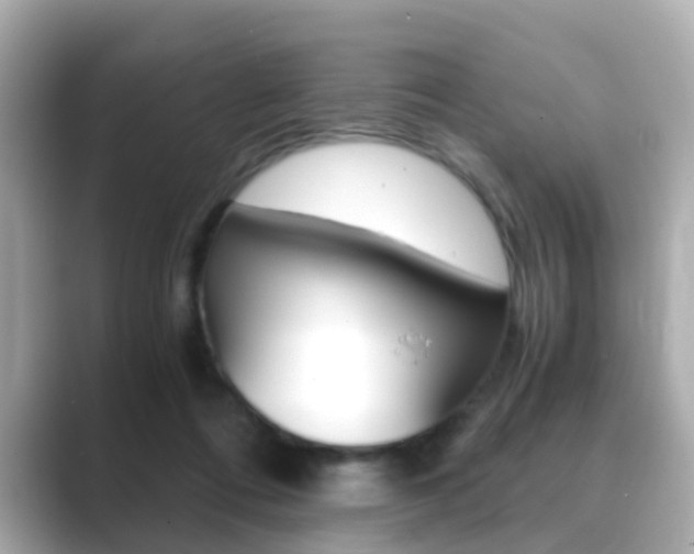 X0000089750312200706210929