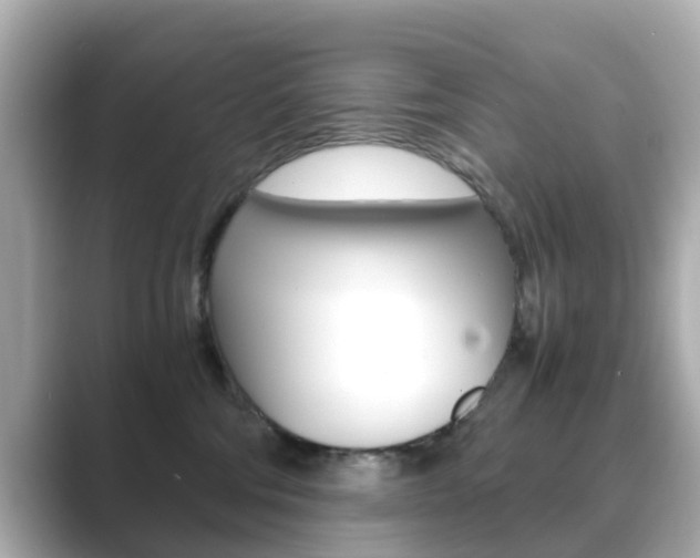X0000089750330200706210929