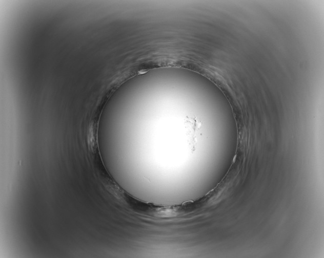 X0000089750335200706210929