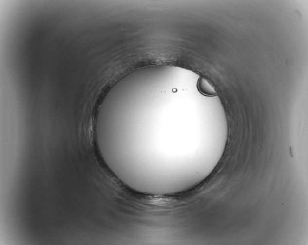 X0000089750336200706210929