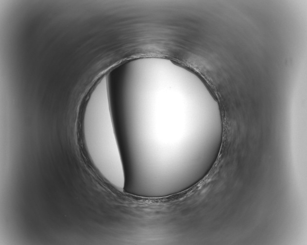 X0000089750338200706210928