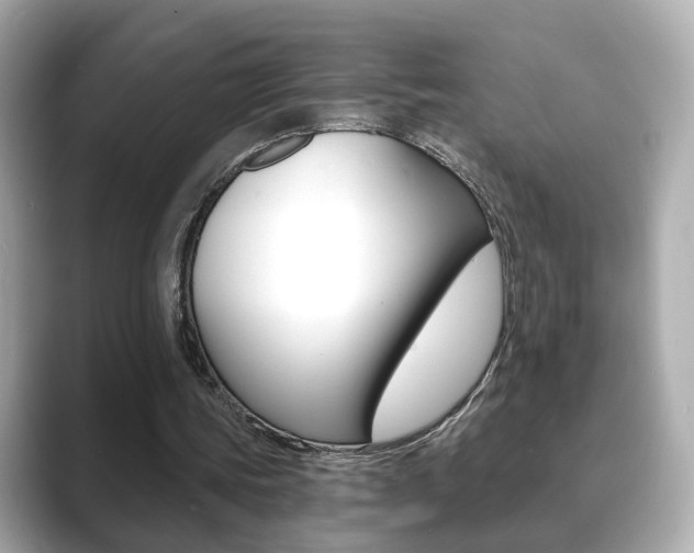 X0000089750339200706210928