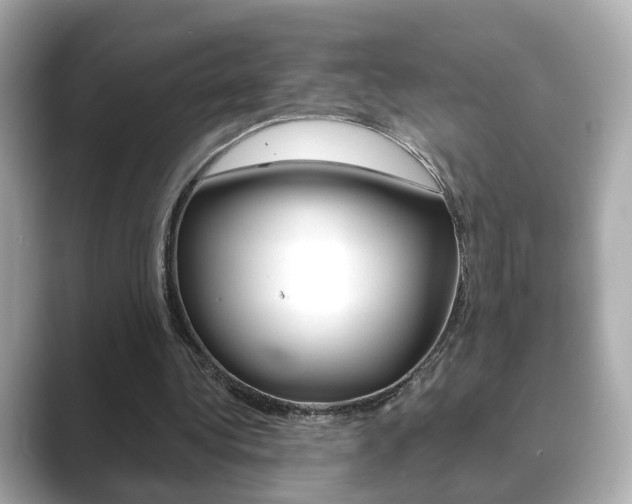 X0000089750340200706210928
