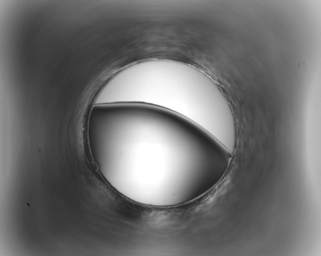 X0000089750341200706210928
