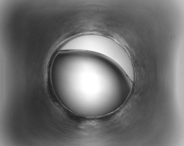 X0000089750344200706210928