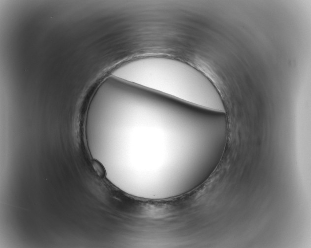 X0000089750346200706210928