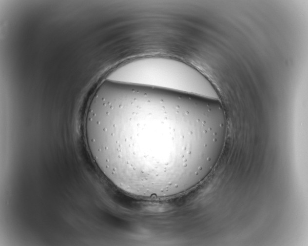 X0000089750347200706210928