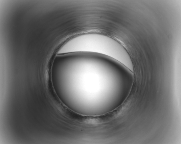 X0000089750350200706210928