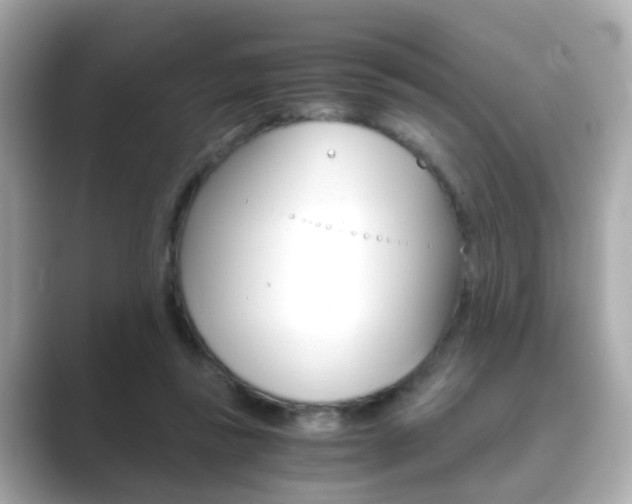 X0000089750355200706210928
