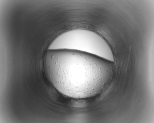X0000089750359200706210928