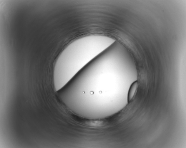 X0000089750361200706210928